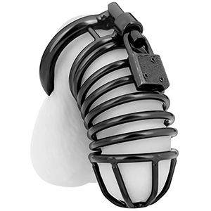 Chastity Device